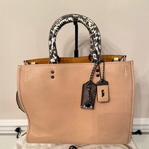 Coach Rogue in Colorblock w/ Snakeskin Detail